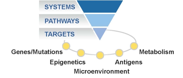 systems pathways and targets