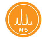 ms