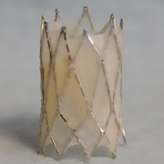 heart valve